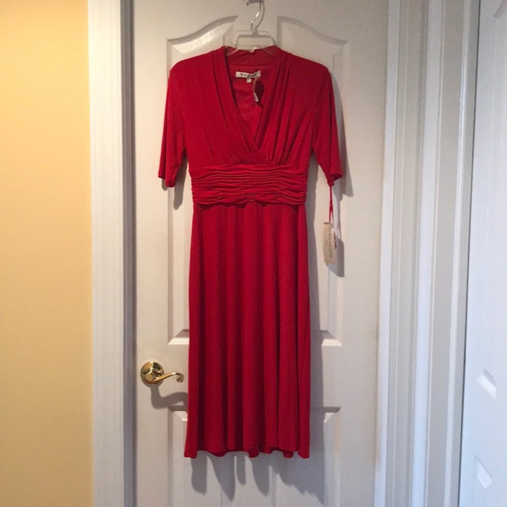 Red dress. Perfect for a holiday party!
